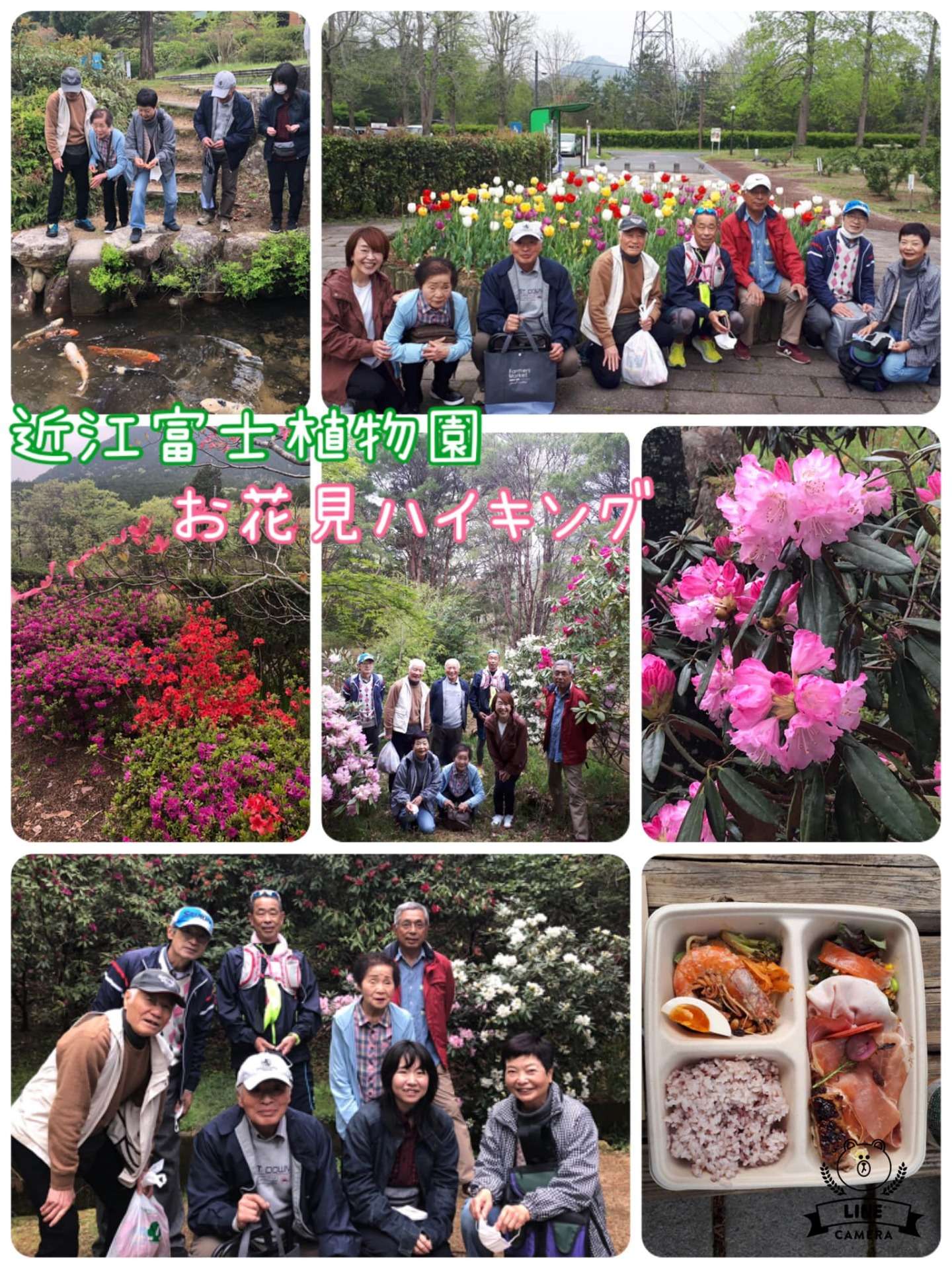 【​ 近江富士植物園お花見ハイキング  】｜ひだまり近江八幡教室