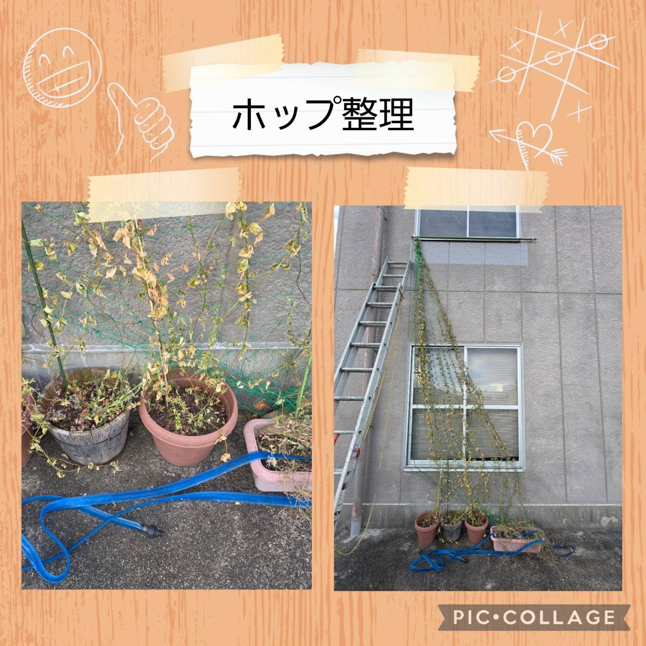 【ホップつた整理】ひだまり安土教室